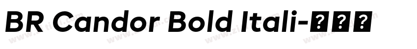 BR Candor Bold Itali字体转换